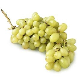 Lowe's Green Thompson Seedless Grape Bulbs (L1418) Bagged in the