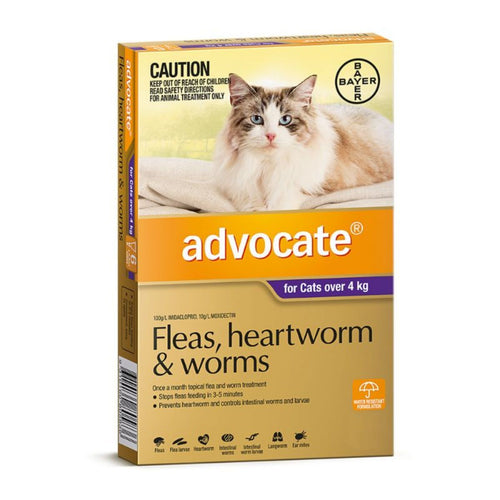 anti flea cat food