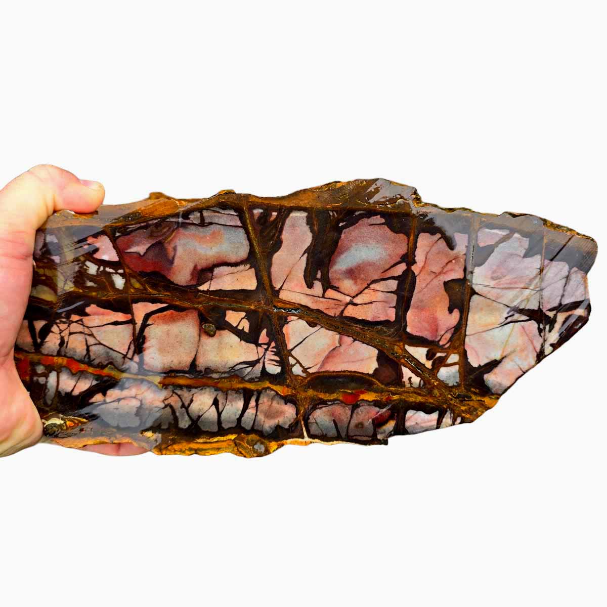 STUNNING Australian Outback Jasper Rough Chunk!