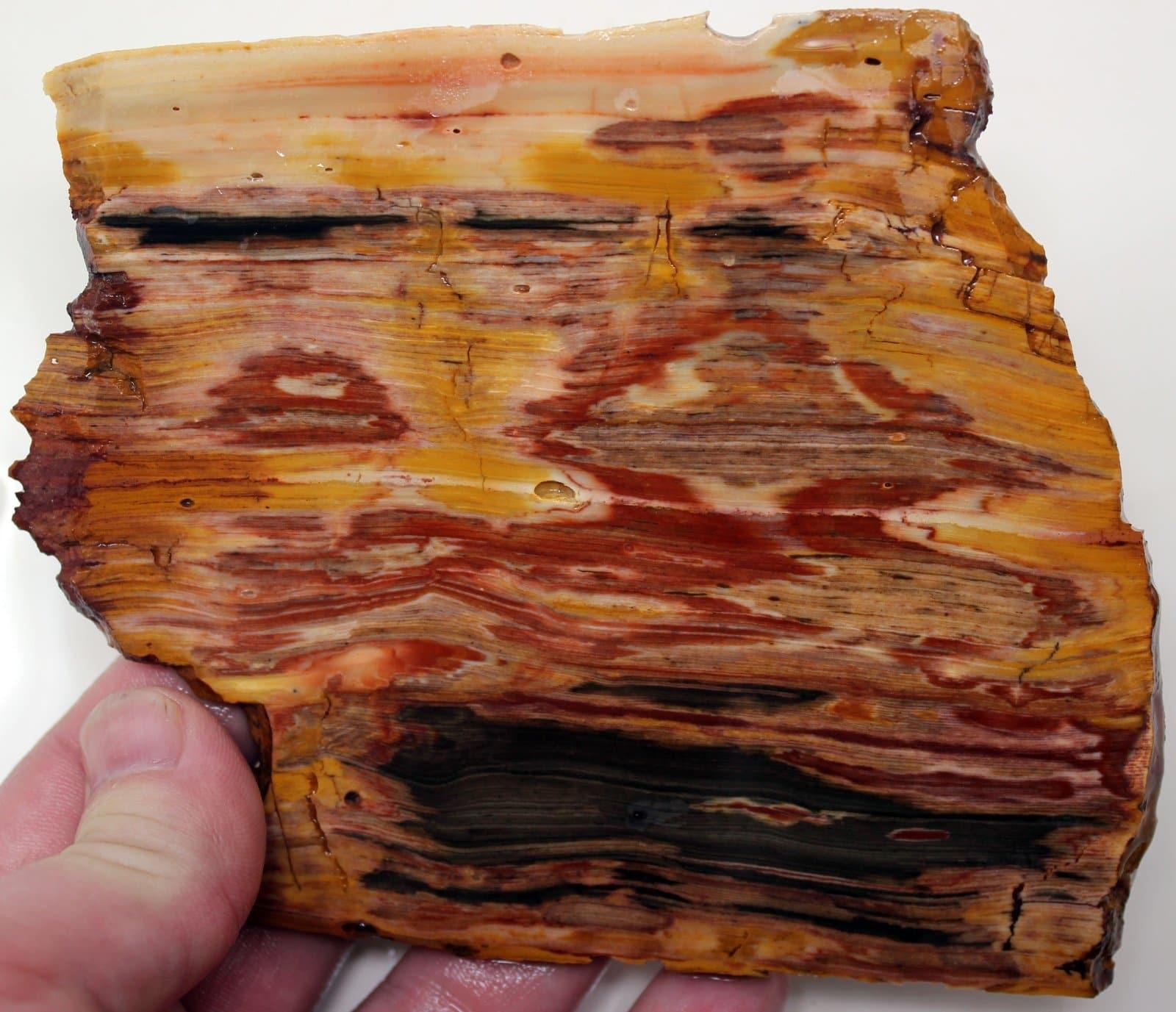 Caldera Freedom Jasper Red Gary Green Larsonite Jasper Slab!