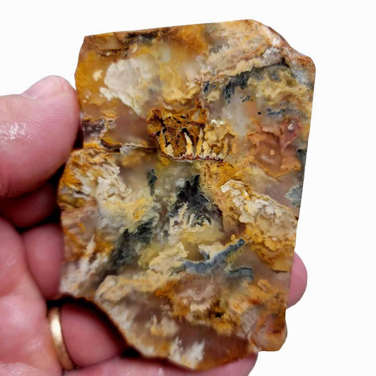 Graveyard Point Plume Agate Slab! Old Stock Lapidary Slab!