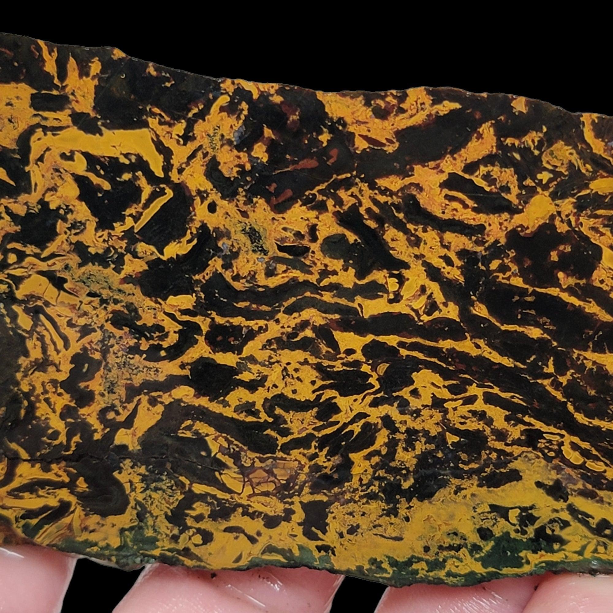 Jurassic Jasper Kaleidoscope Jasper Slab! Lapidary Stone Slab!