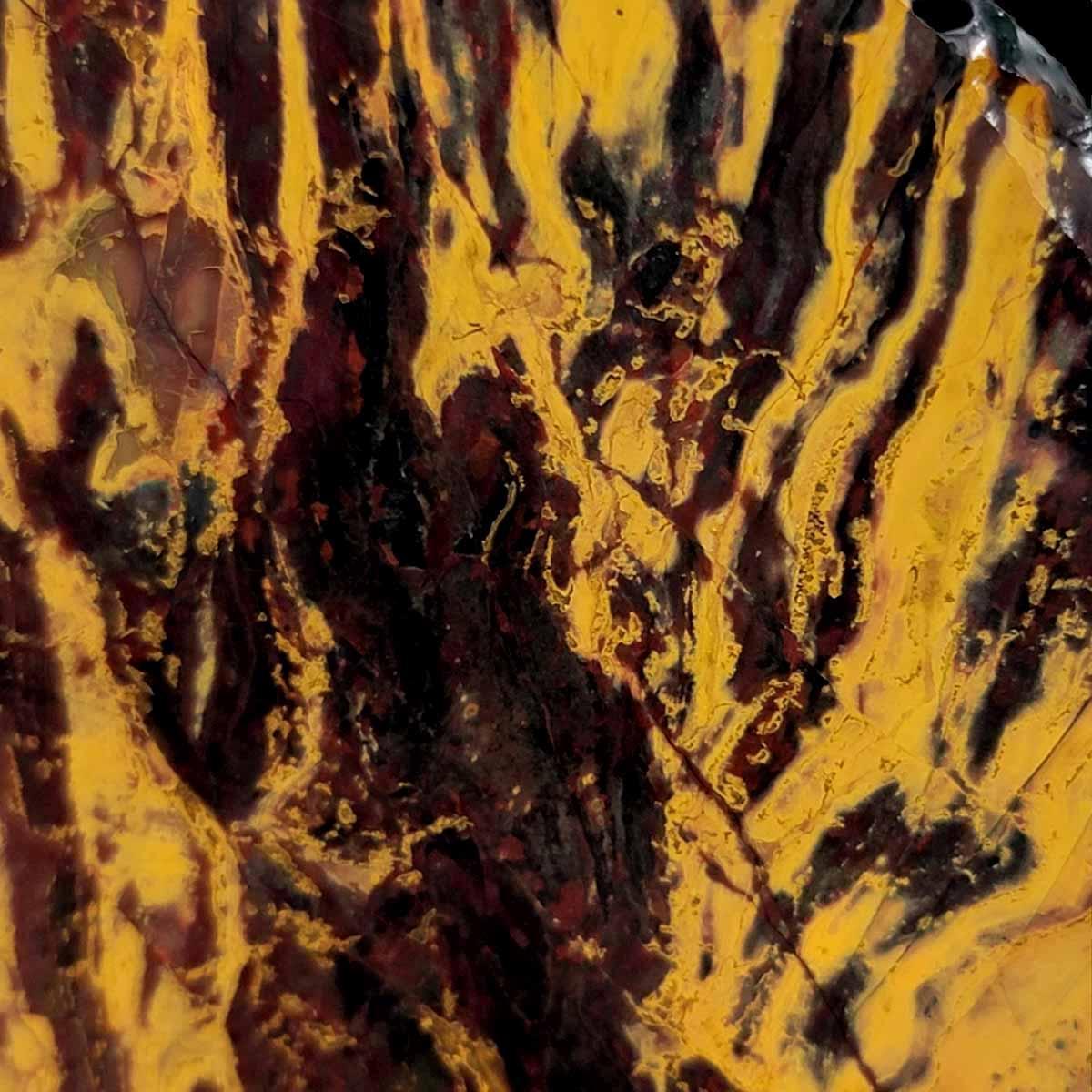 Gold Stripe Burgundy Stripe Kaleidoscope Jasper Slab! Lapidary Stone Slab!