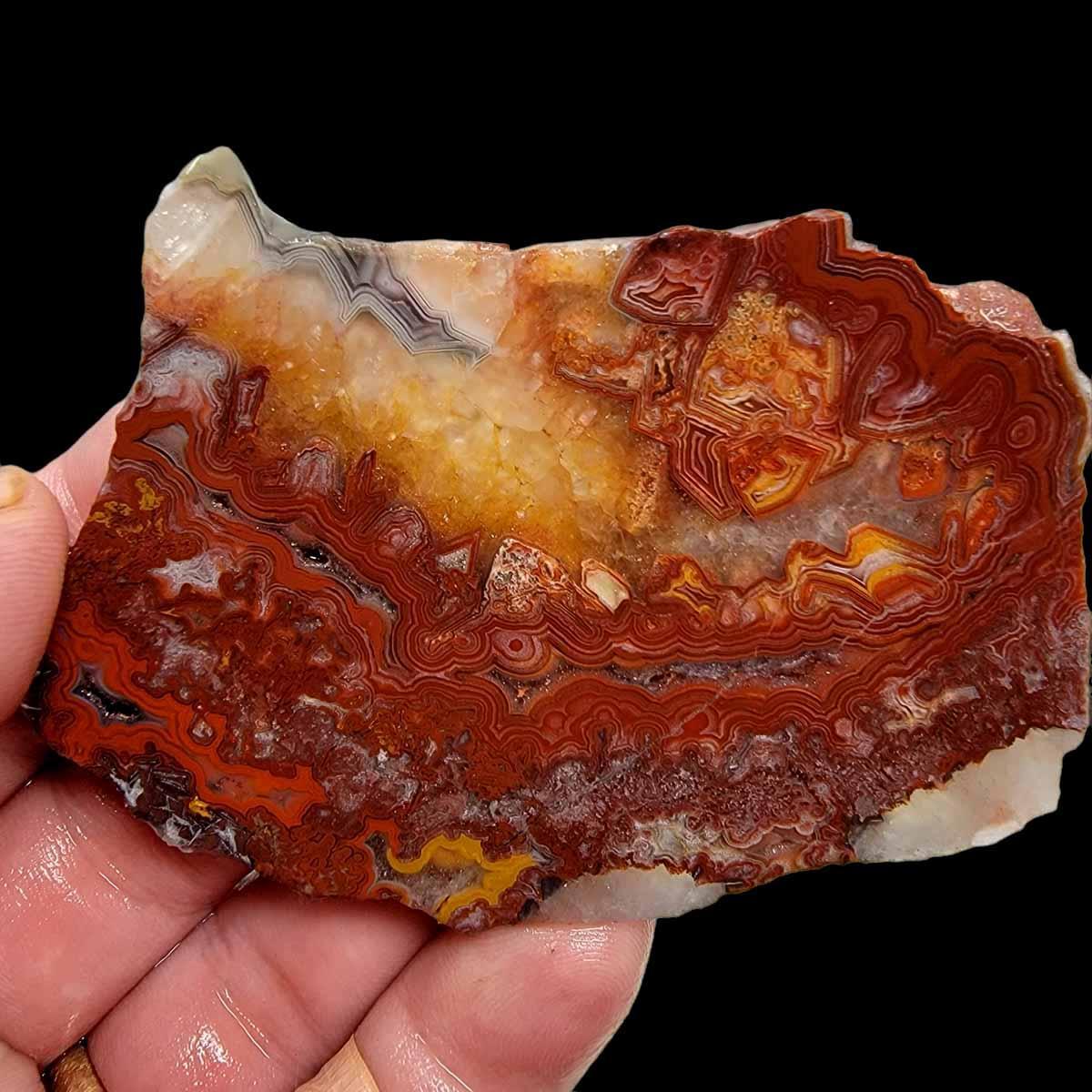 Laguna Lace Agate Slab! Lapidary Stone Slab!