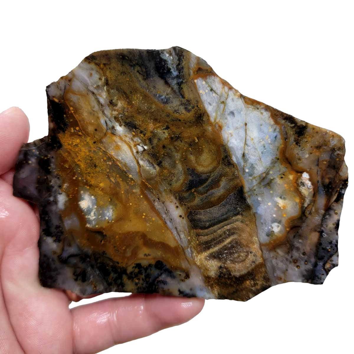 Ochoco Sunset Agate Slab! Lapidary Stone Slab!