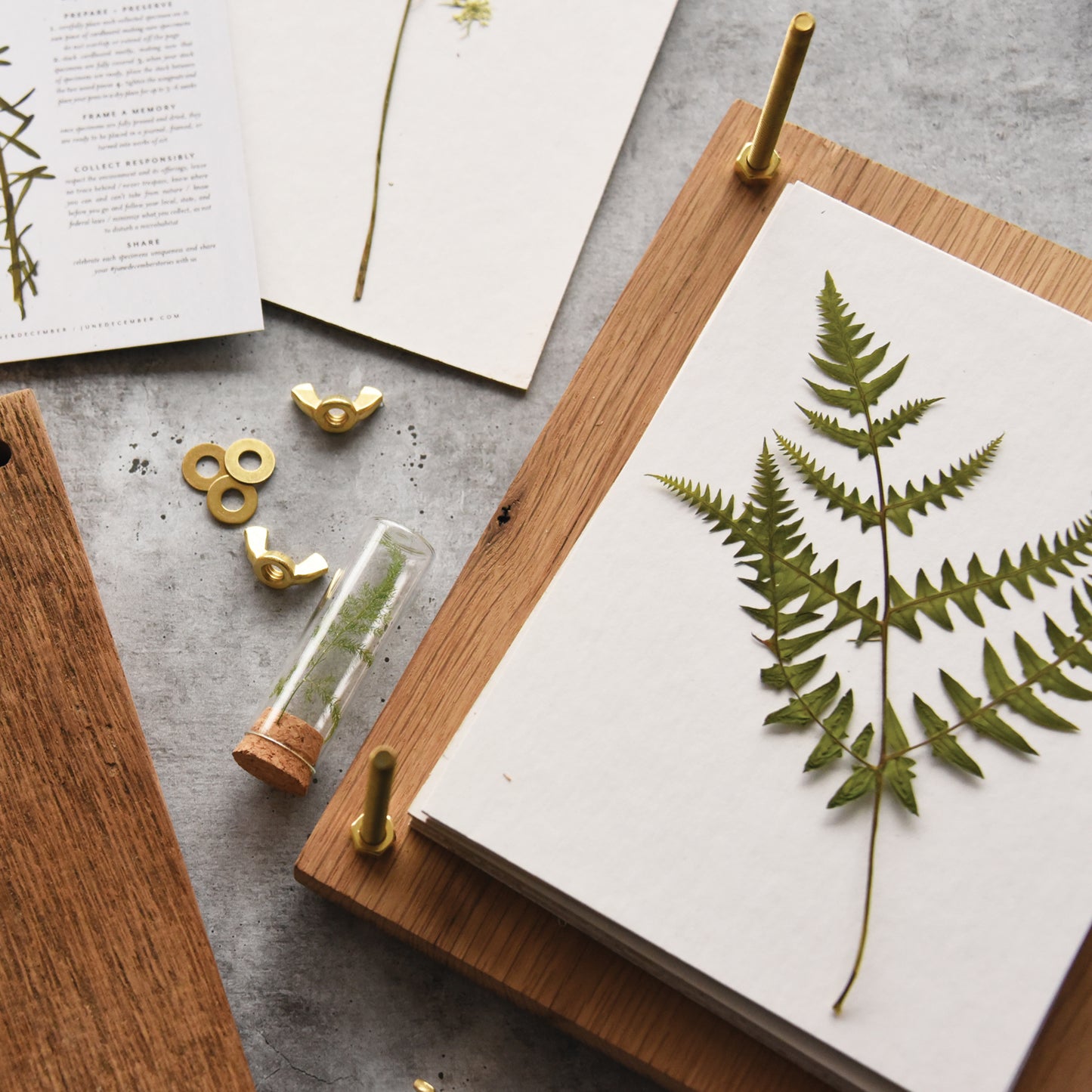 Herbarium Flower Pressing Kit by Pressed Wishes