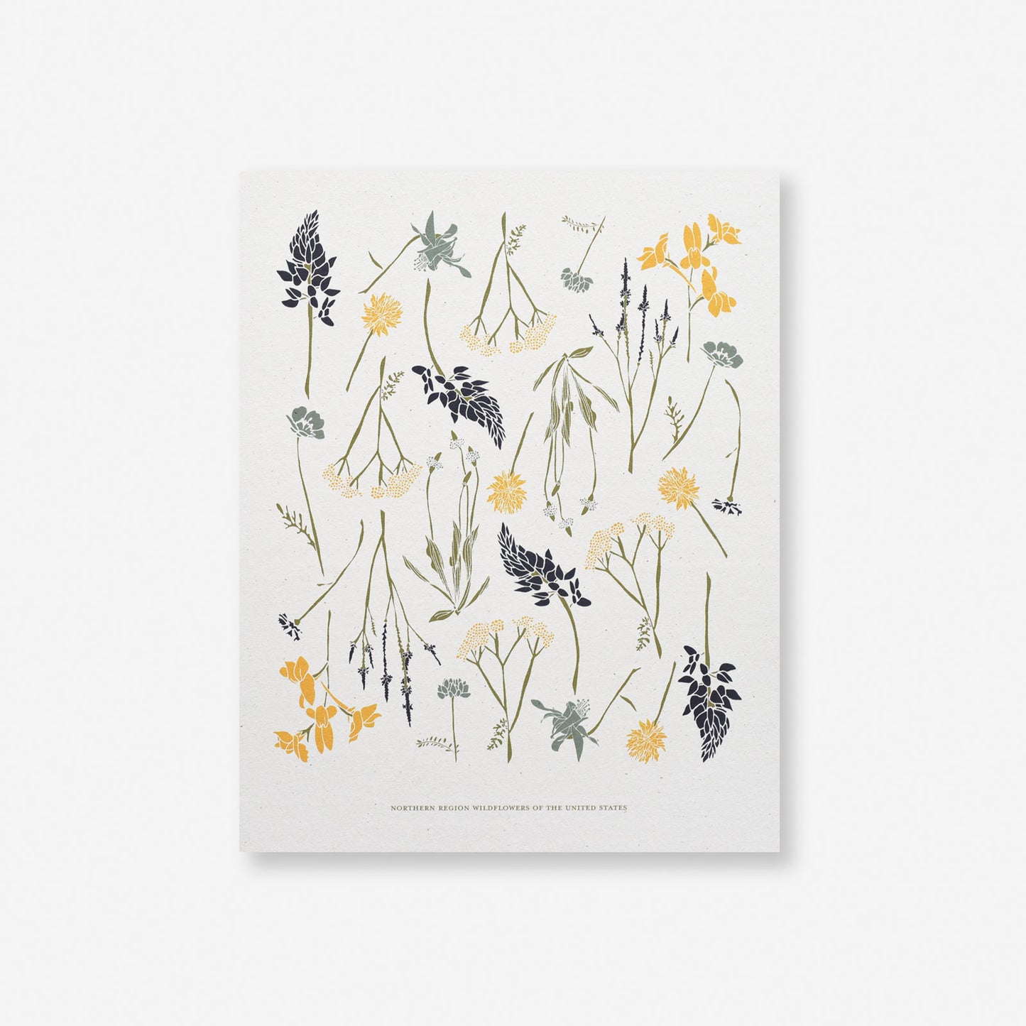 Pressed Wildflowers Art Print – June & December