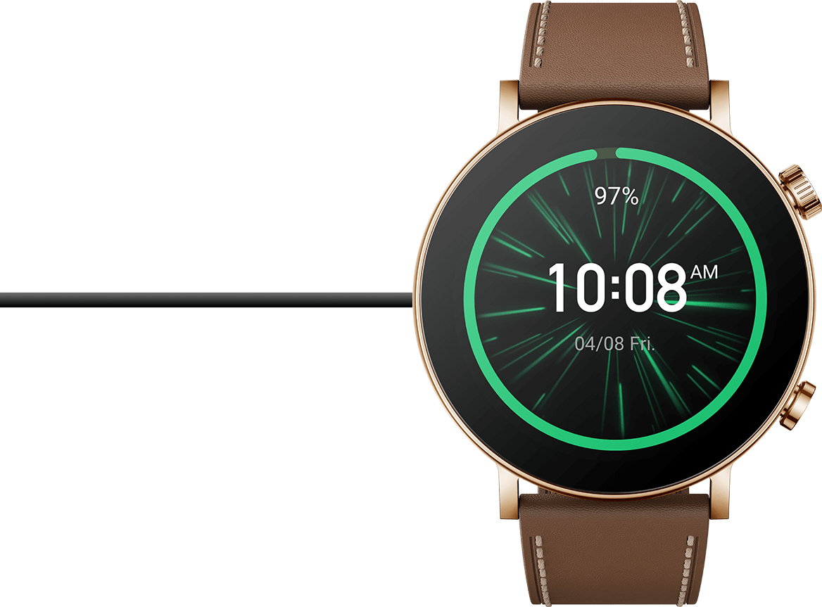 Amazfit GTR 3 Pro [Limited Edition] — Niuxtech