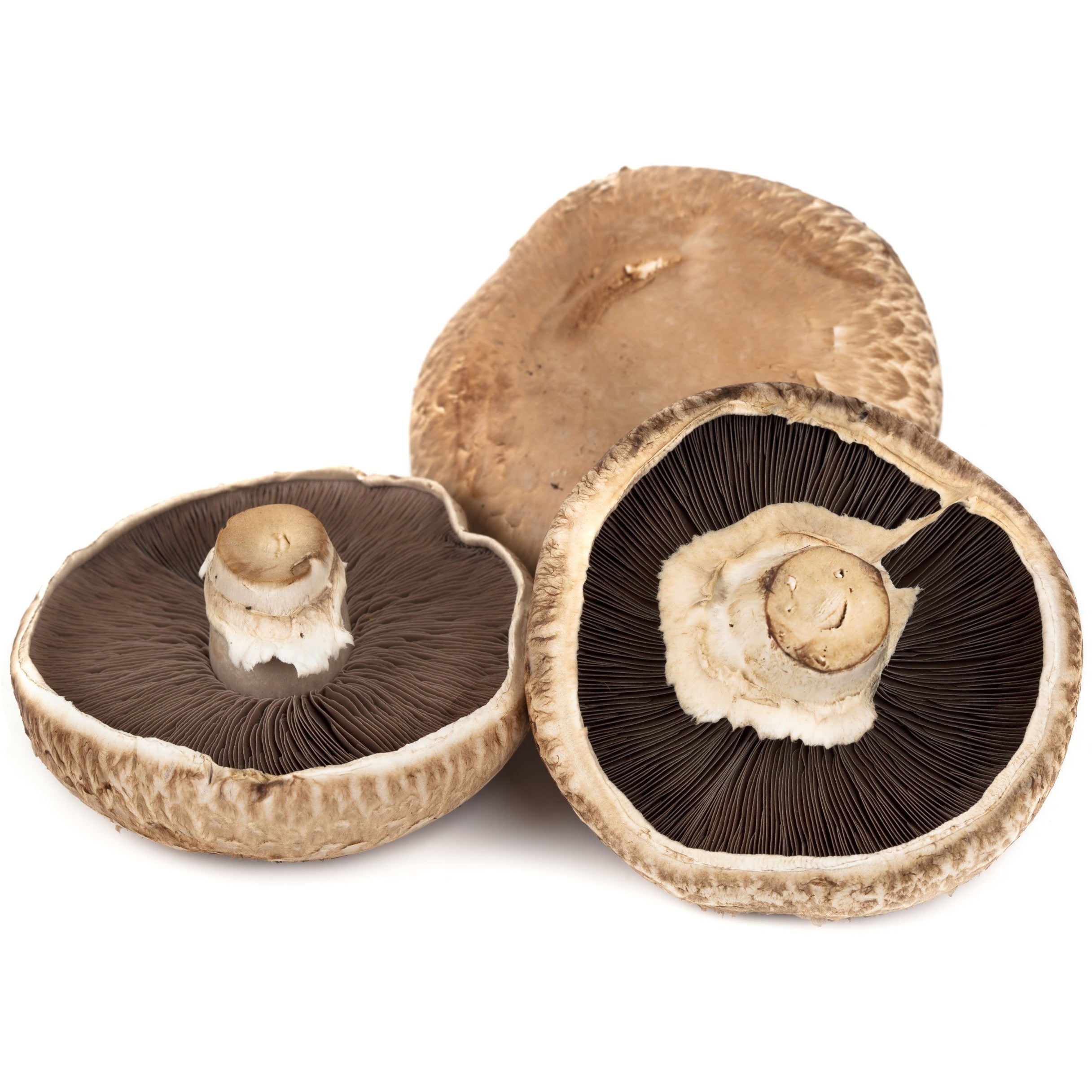 Shitake Mushrooms (1 lb)