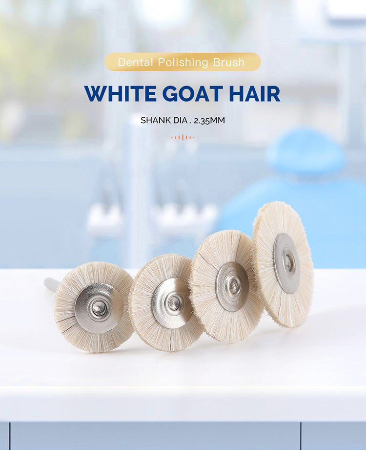 Dental Polishing Brush Wheel White Goat Hair 17mm/ 19mm/ 22mm/ 25mm 10pcs/Pack - azdentall.com