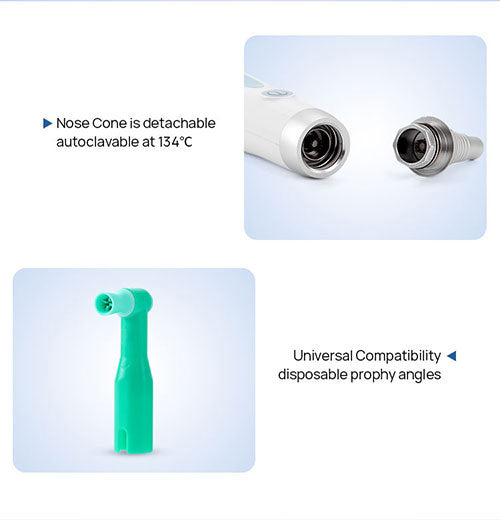 Dental Cordless Hygiene Prophy Handpiece 10 Speed Settings Prophy Angle 360° Rotating Nose Cone Detachable - azdentall.com