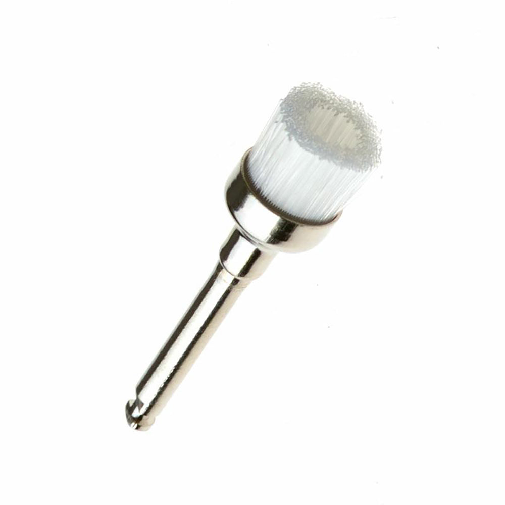 Dental Disposable Prophy Brushes/ Natural Bristles - China Brushes, Dental  Prophy Brushes