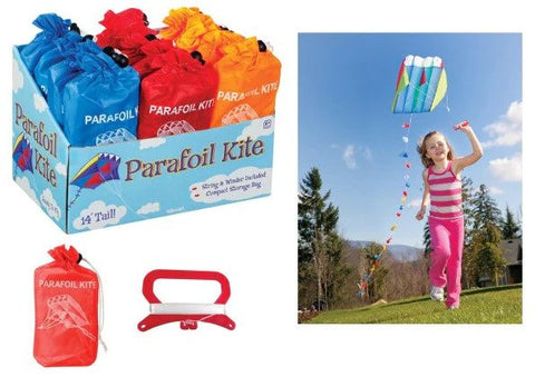 Kites at the Beach or Garden