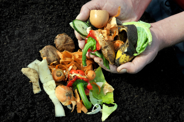 food scrap compost