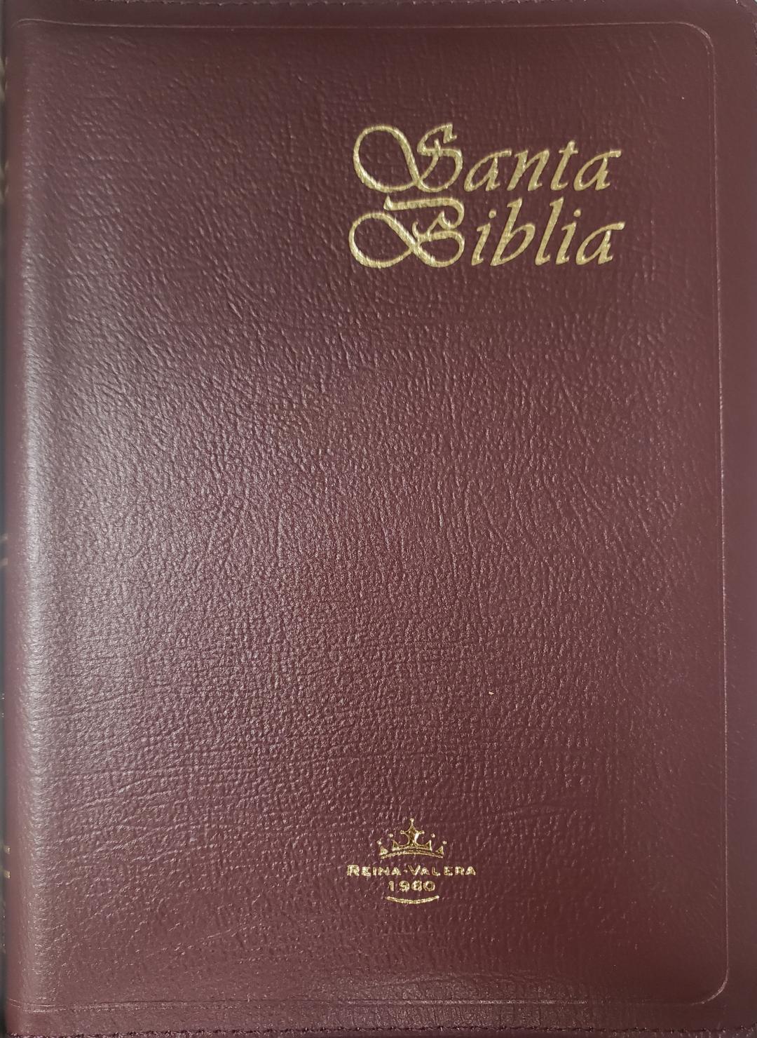 Santa Biblia, portada color vino (RVR 1960) – Librería Evangélica de  Carolina, Inc.