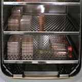 cell culture incubator