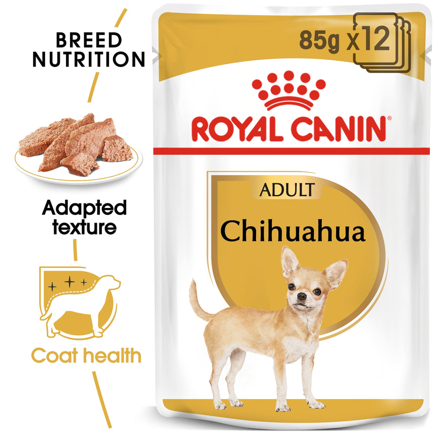 wet food for chihuahua