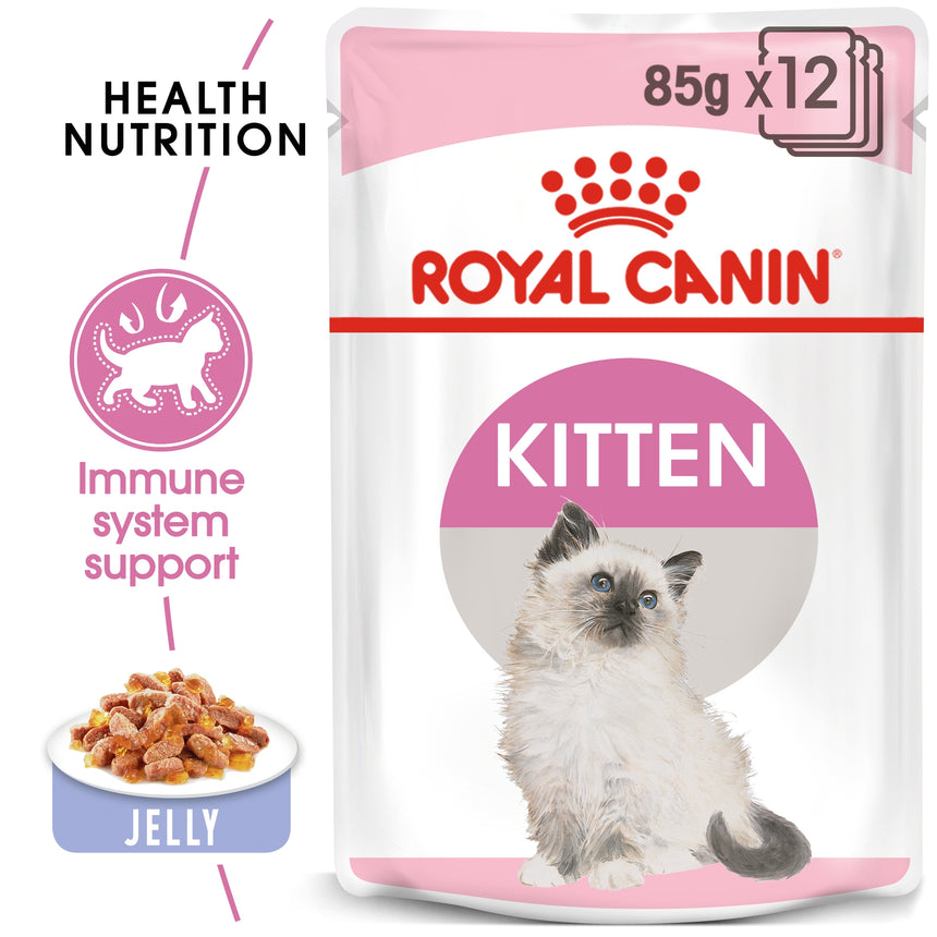 royal canin fhn kitten