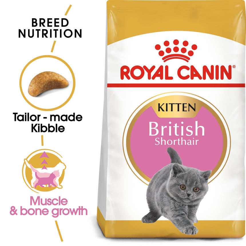 royal canin kitten 20kg
