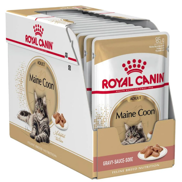 royal canin maine coon kitten wet food