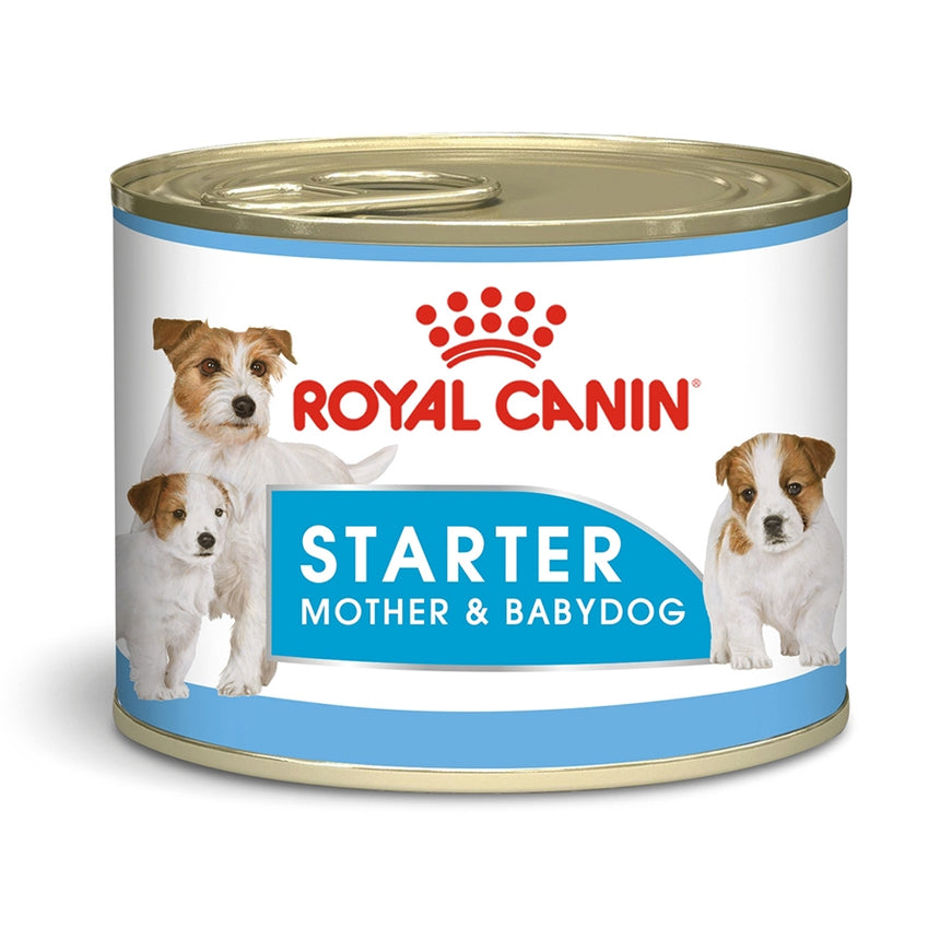 royal canin junior mousse