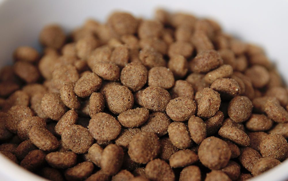 Dog Food Closeup
