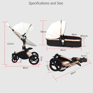 Amazon.com : AULON Baby Stroller 2 in 1 Two-Way use to Avoid Vibration  Strollers Umbrella Light Travel Baby Car : Baby