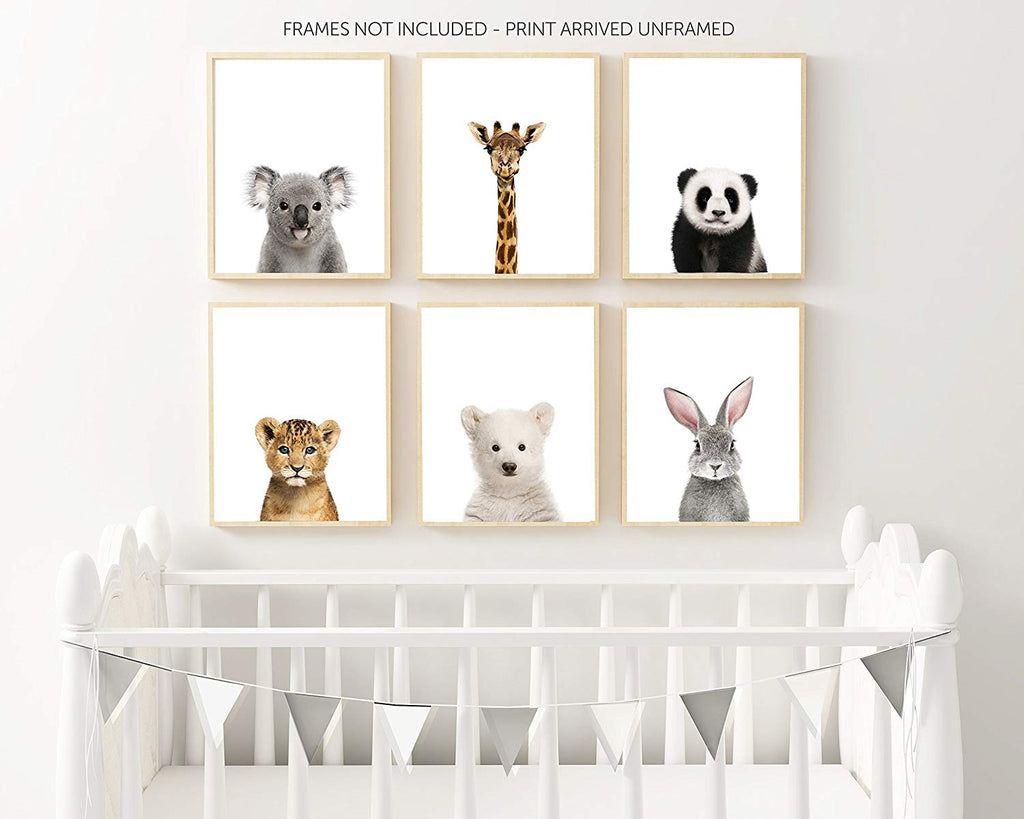 Baby Animals Nursery Wall Decor Photography Wall Prints Unframed 8x10