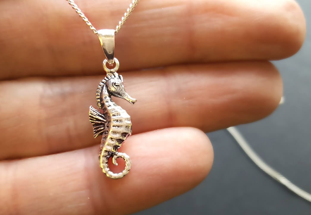 Real Seahorse Necklace | Etsy | Seahorse necklace, Necklace etsy, Necklace