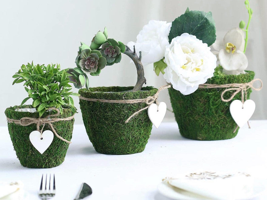 Use indoor flower pots to spruce up your home decor; here's how