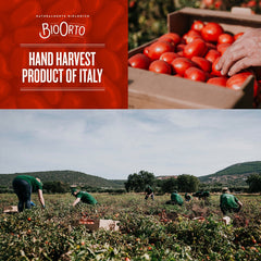 Bio Orto Organic Tomato Puree (520g / 18.34oz) - Bio Orto - 8051490500459 - Ciao Imports - Authentic Specialty Foods