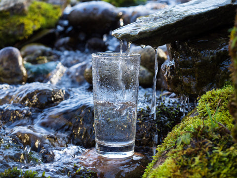 Spring Water vs. Purified Water: What's the Difference?