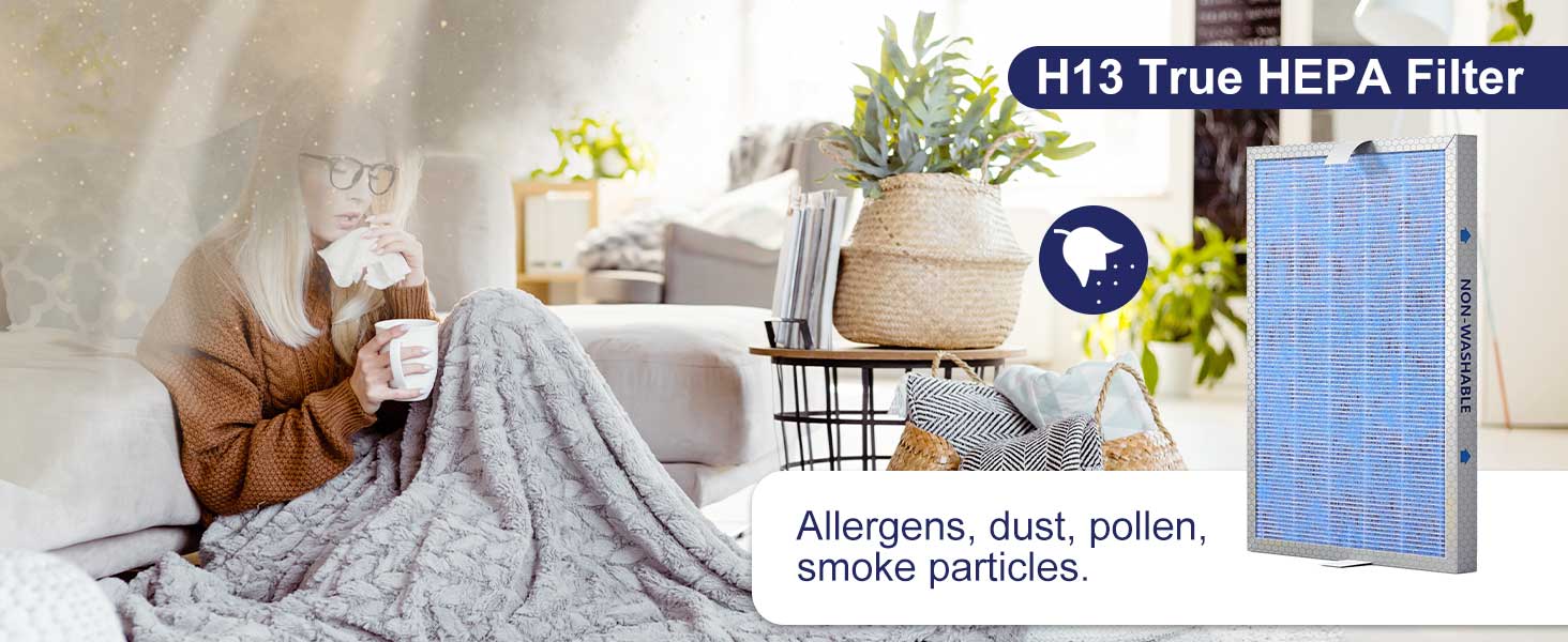 best air purifier for allergy