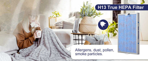 msa3 hepa air purifier allergy