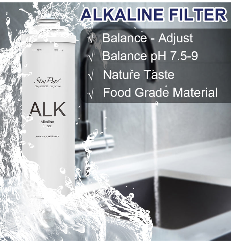 SimPure T1-400 ALK Alkaline Filter