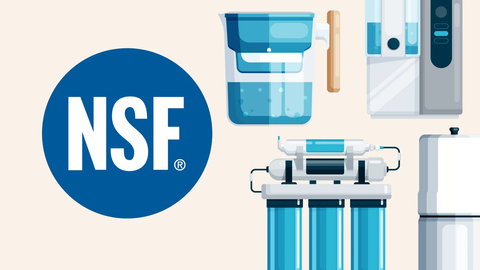 what does nsf stand for