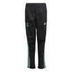 Youth UCL Training Tracksuit Pants 22/23 Black