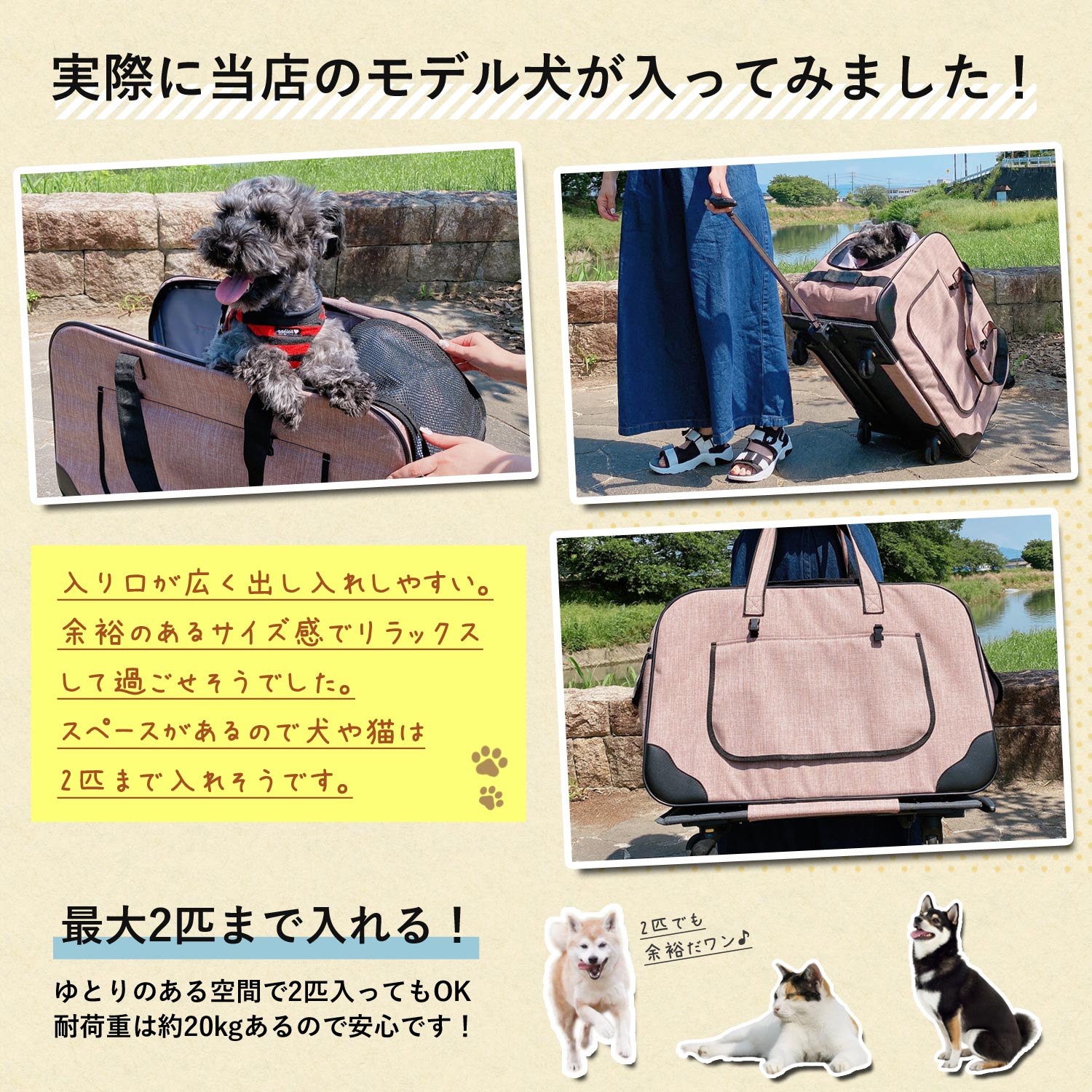 当店限定180日延長保証】 Sun Ruck ペットキャリー 折りたたみ