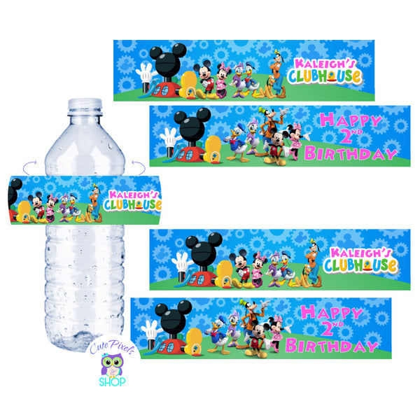 Disney Water Bottle - Mickey Mouse and Friends - Pink