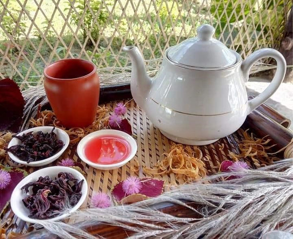 Hibiscus Tea - A Healing Herbal Tea