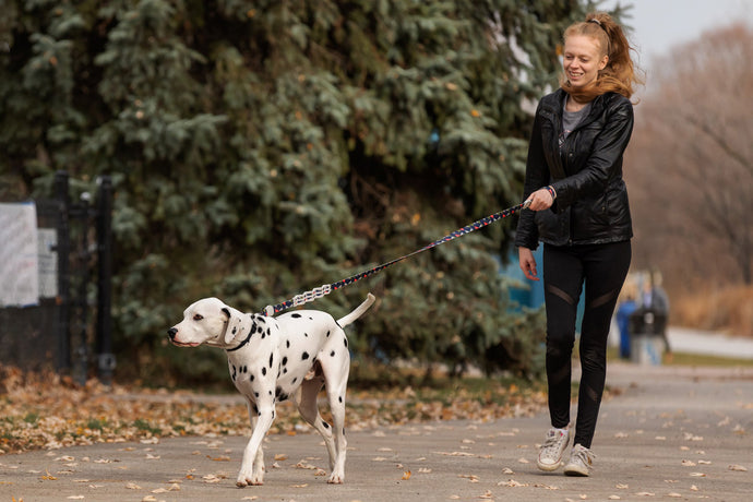 Dog Walking: The Health Benefits for You and Your Dog