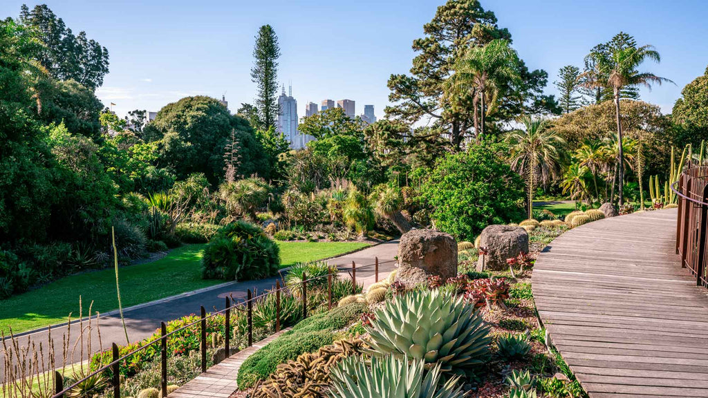 Melbourne's Royal Botanic Gardens Scenic View With City In Background