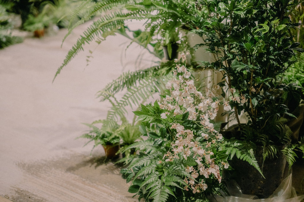 Echevaria.co- Botanical Wedding