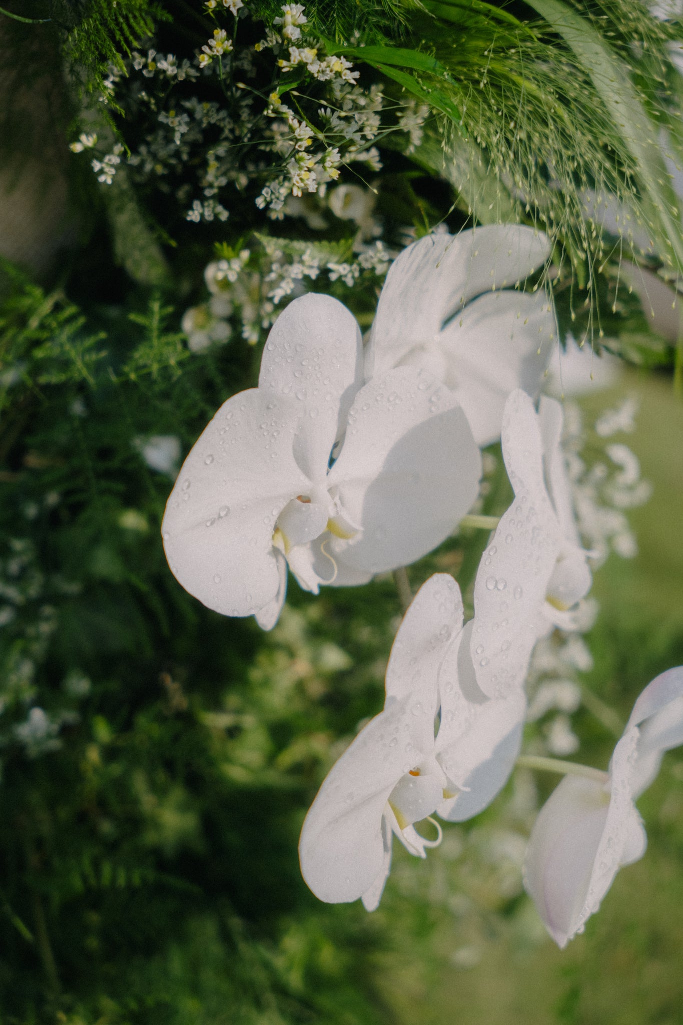 botanical tropical chairback for green wedding solemnisation at raffles hotel singapore 06