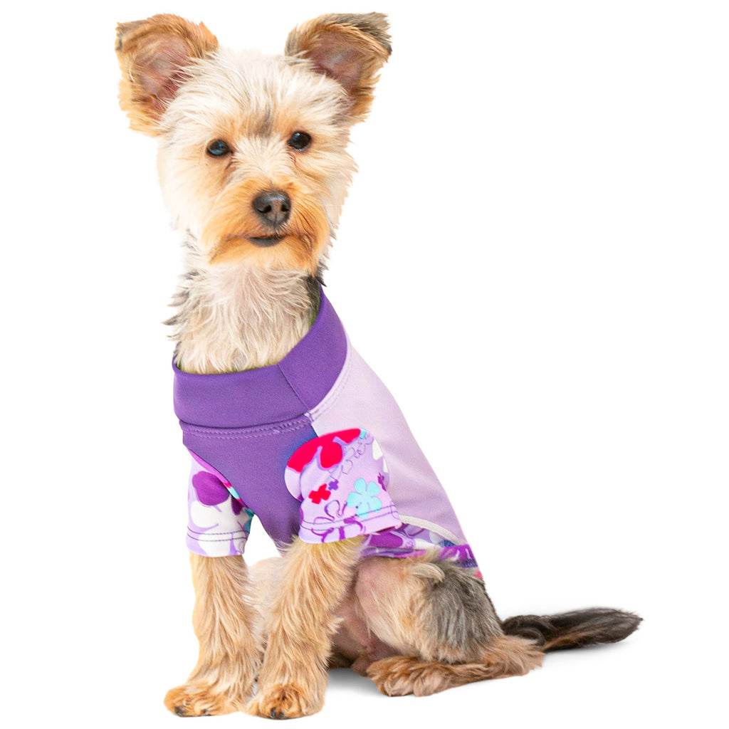 playapup dog sun shirt