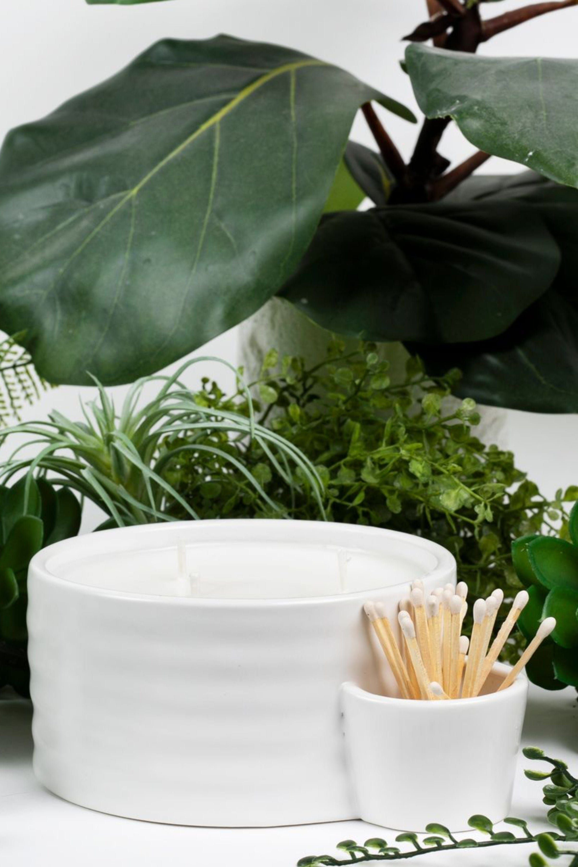 The Perfect Match 20oz Candle-Joshua Tree