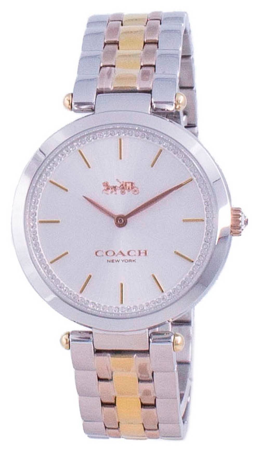 Coach Park Two Tone Stainless Steel Quartz 14503508 Women's Watch – Watch  Depot NZ