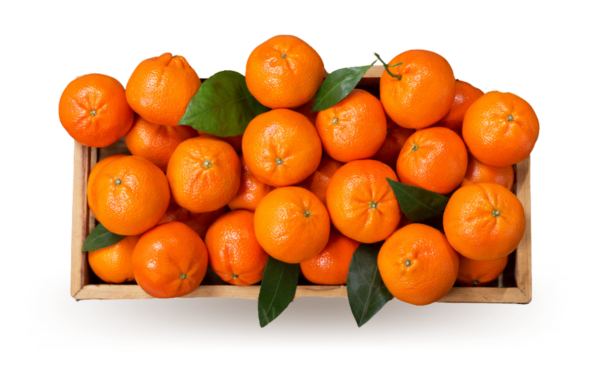 Tangerine Box – The Farmers On Wheels
