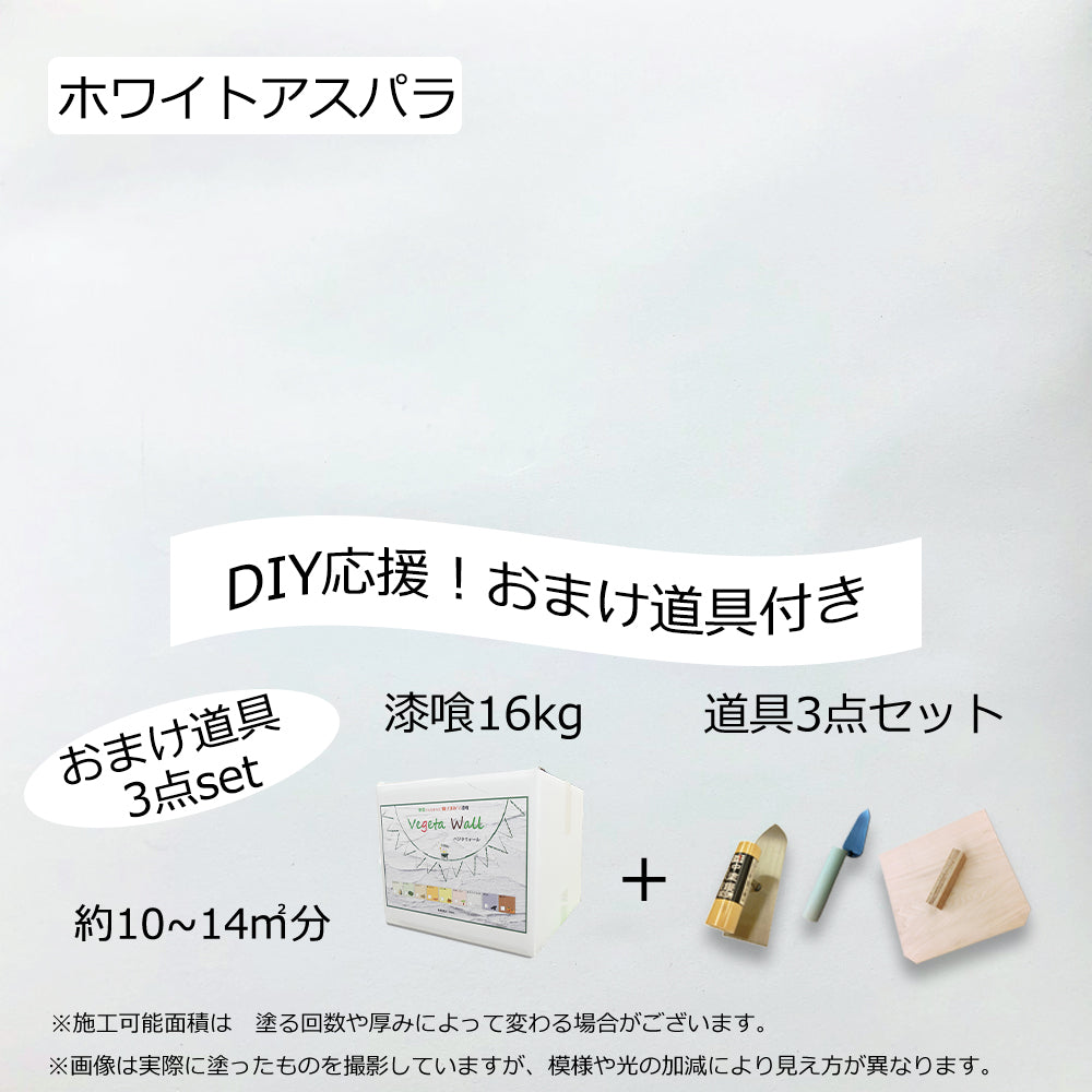 68％以上節約 ベジタウォール 練り済み漆喰 DIY はじめてセット 漆喰16kg 道具3点