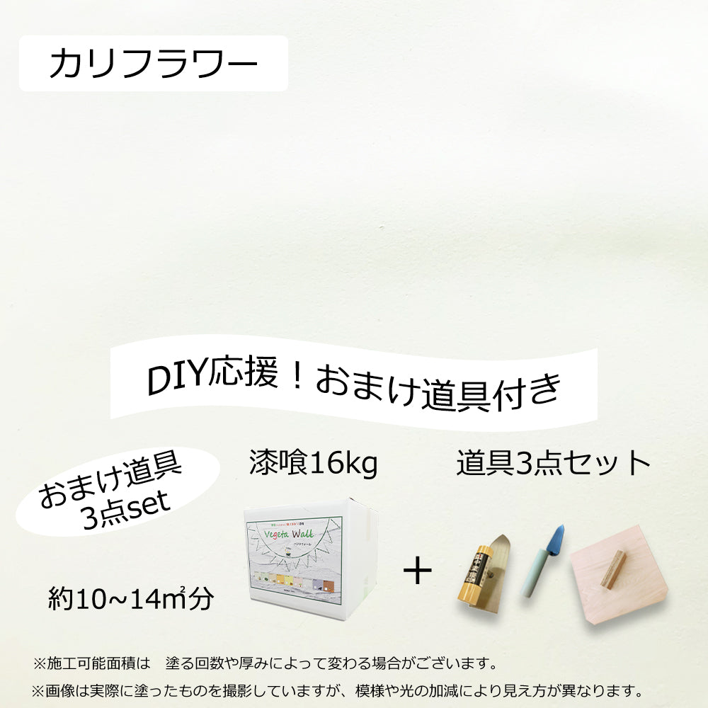 建材・DIY用品 ベジタウォール 漆喰練り済み 全9色 (16kg   おまけ道具3点, ラディッシュ) - 4